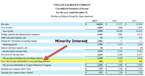 what is total equity gross minority interest|Minority Interest: Finance Explained .